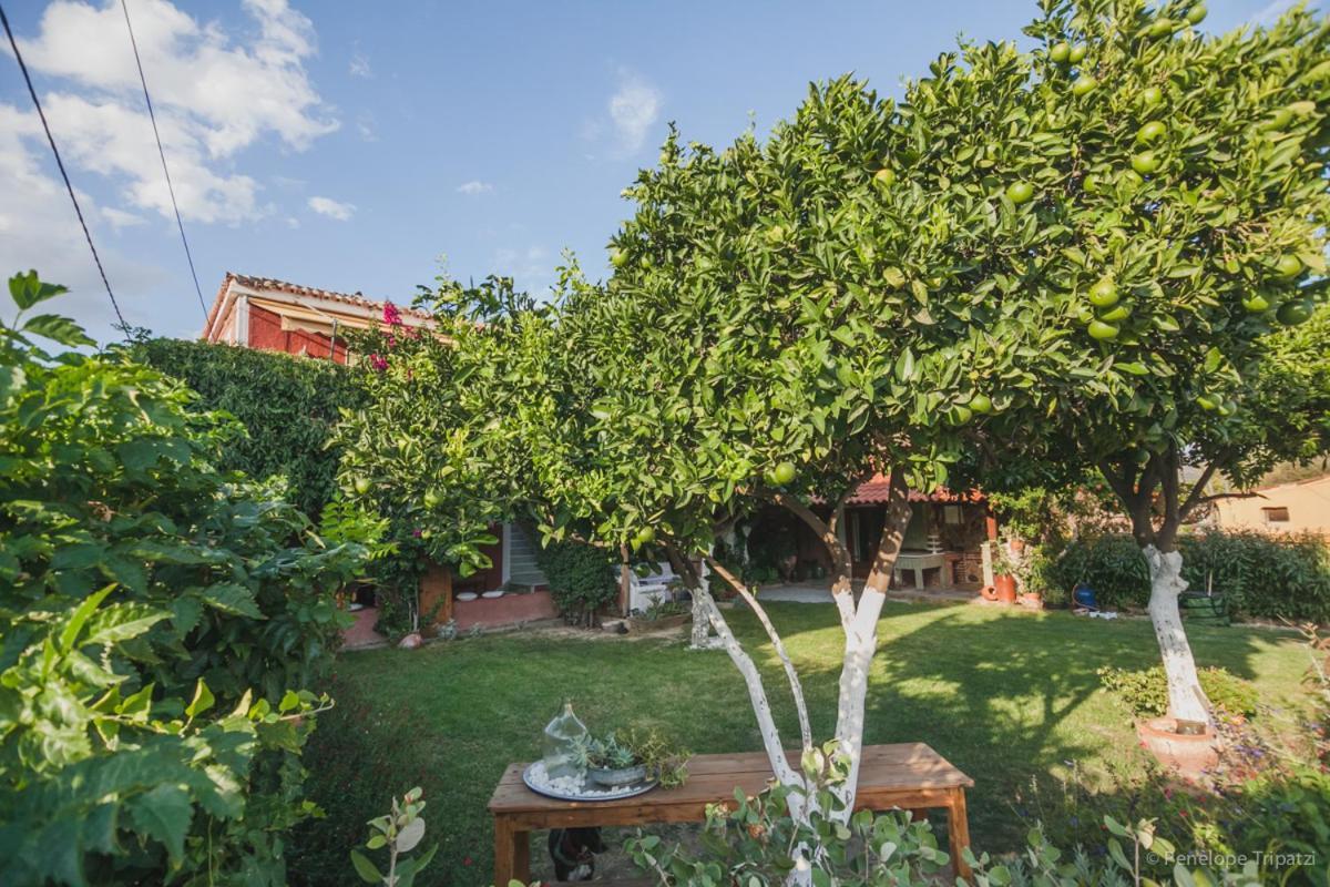 Zacharoulas Katikies Amarynthos Exterior foto